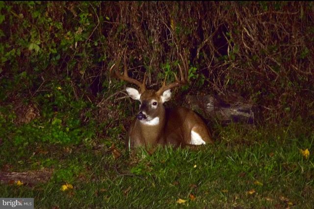 113 PARKVIEW RD, Stratford, NJ 08084