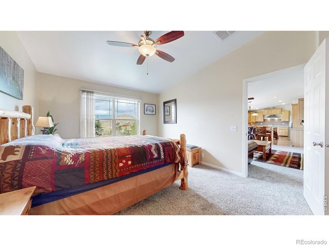 572 Horse Mountain Drive, Livermore, CO 80536