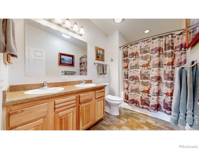 572 Horse Mountain Drive, Livermore, CO 80536