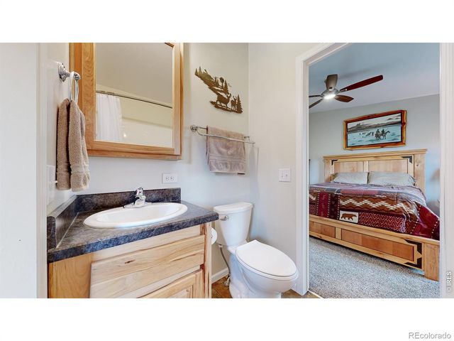 572 Horse Mountain Drive, Livermore, CO 80536