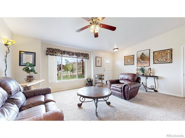 572 Horse Mountain Drive, Livermore, CO 80536