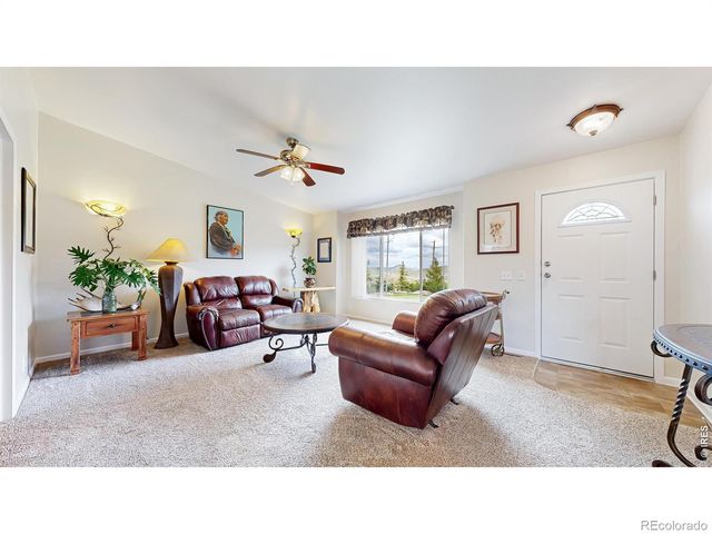 572 Horse Mountain Drive, Livermore, CO 80536