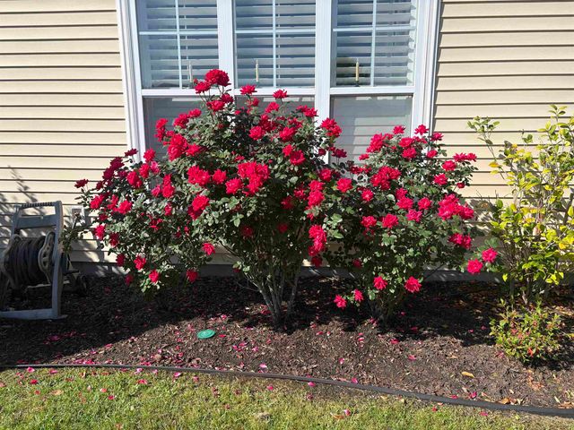 516 Benson Dr., Myrtle Beach, SC 29579