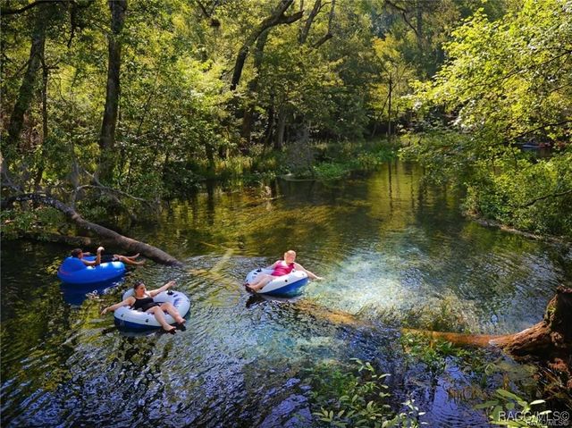 1369 W Diamond Shore Loop, Hernando, FL 34442