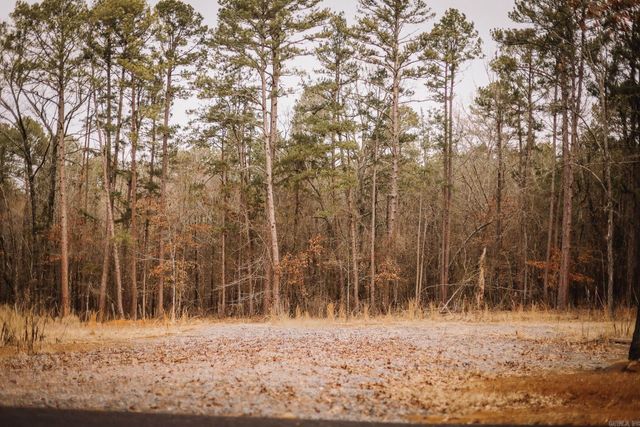 149 View Drive, Shirley, AR 72153