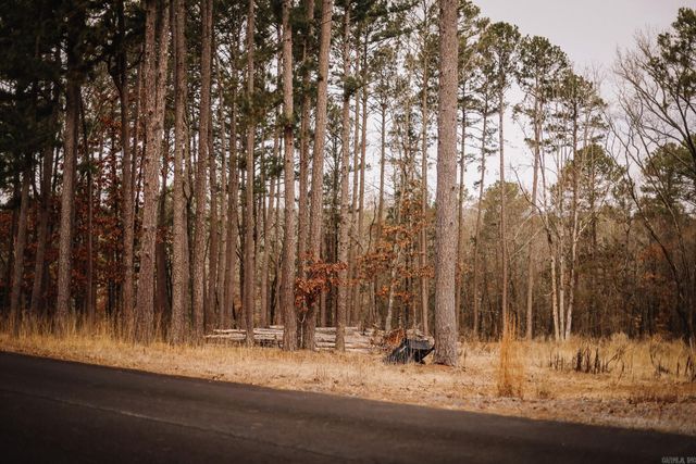 149 View Drive, Shirley, AR 72153