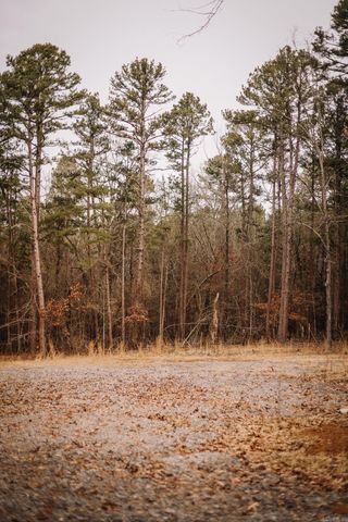 149 View Drive, Shirley, AR 72153
