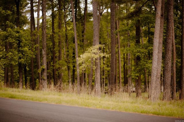 149 View Drive, Shirley, AR 72153