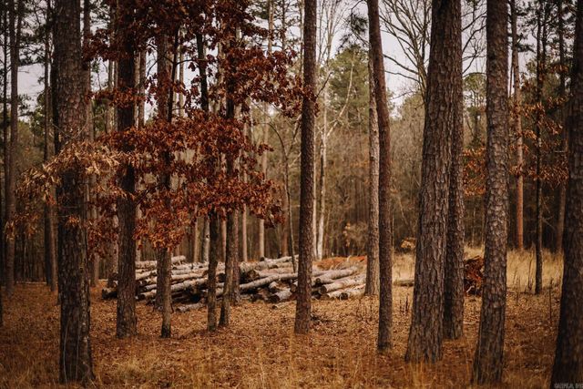 149 View Drive, Shirley, AR 72153