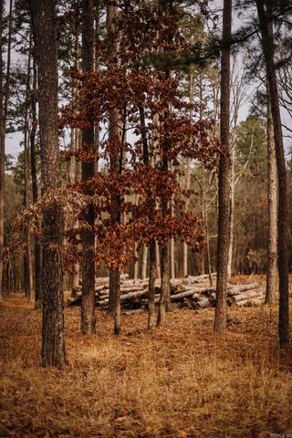 149 View Drive, Shirley, AR 72153
