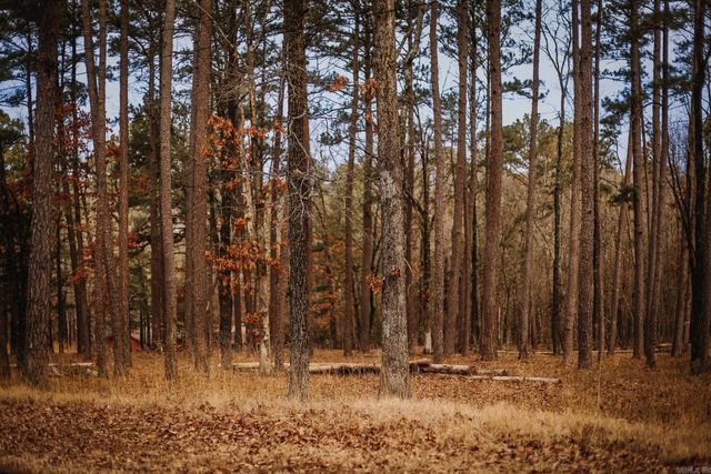 149 View Drive, Shirley, AR 72153