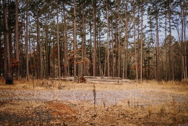 149 View Drive, Shirley, AR 72153