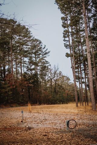 149 View Drive, Shirley, AR 72153