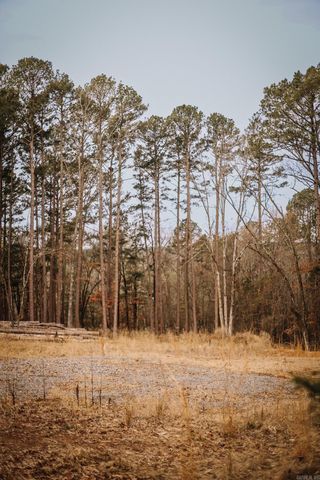 149 View Drive, Shirley, AR 72153