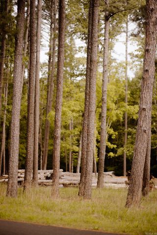 149 View Drive, Shirley, AR 72153