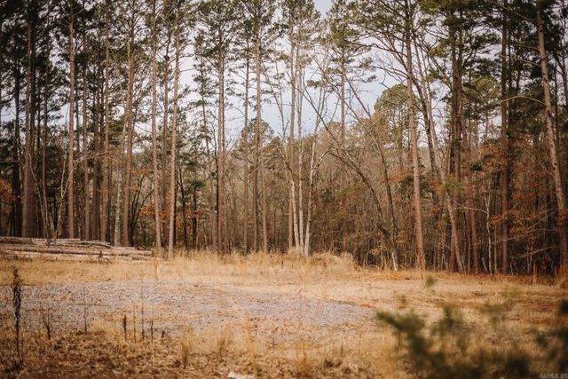 149 View Drive, Shirley, AR 72153