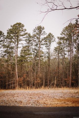 149 View Drive, Shirley, AR 72153