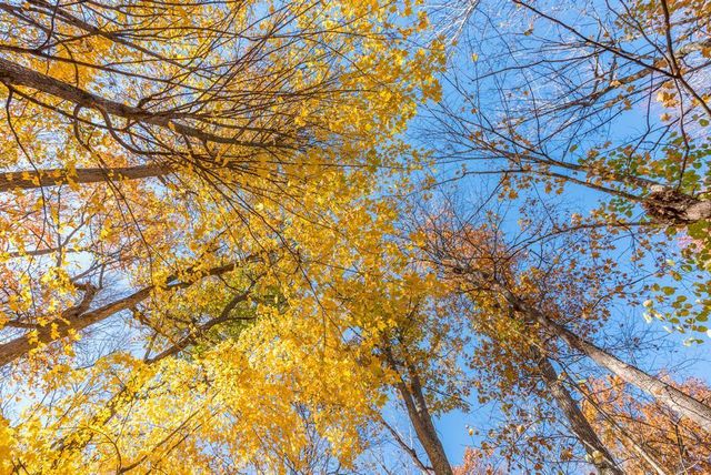 28978 447th Place, Aitkin, MN 56431