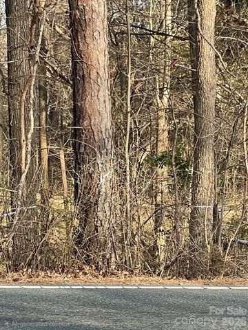 2205 Sam Newell Road 2, Matthews, NC 28105