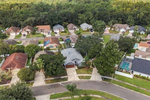 13418 SUNVALE PLACE, Tampa, FL 33626