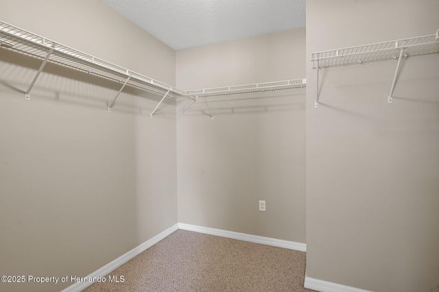 12108 Harris Hawk Road, Weeki Wachee, FL 34614