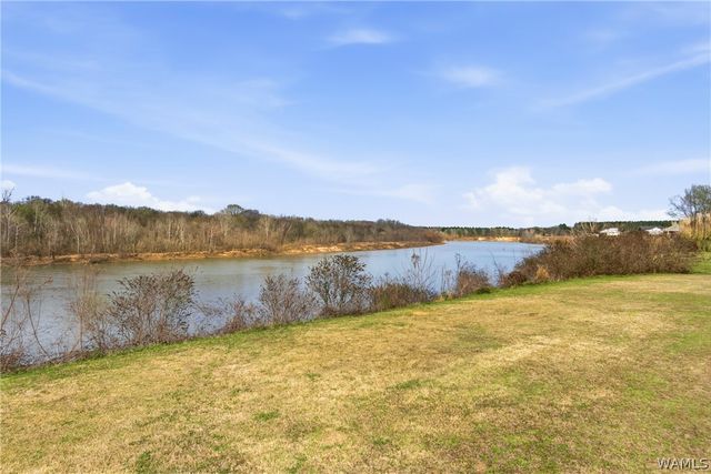 12839 Lackey, Fosters, AL 35463