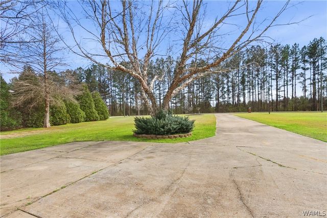 12839 Lackey, Fosters, AL 35463