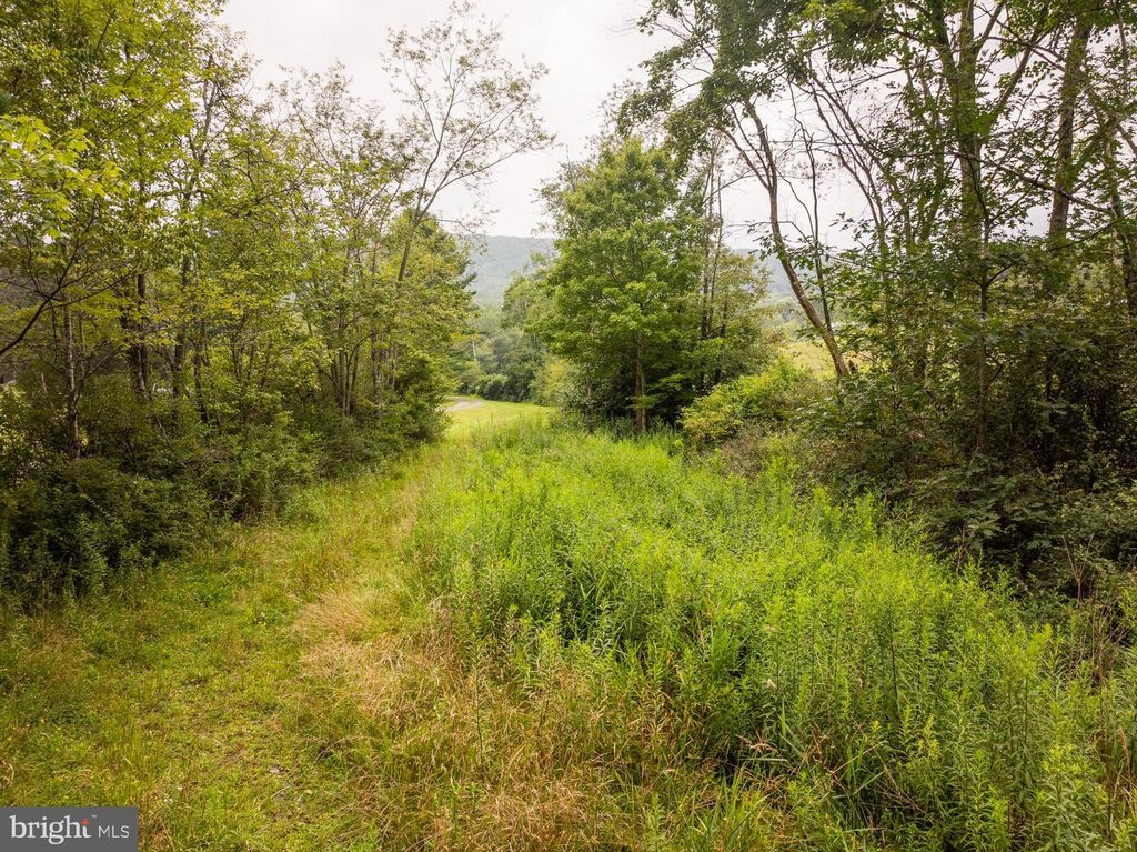 1055 OLD WILSON RD, Swanton, MD 21561