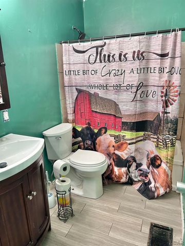 1169 Division Street, Adrian, MI 49221