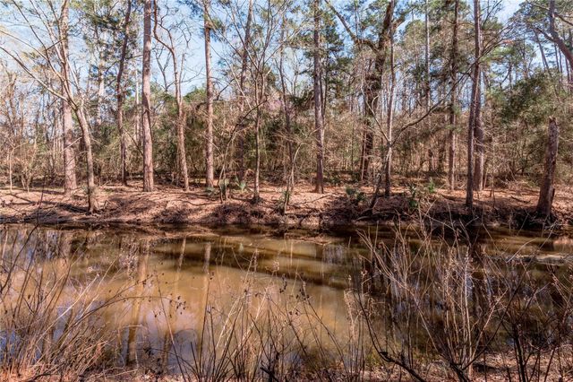 48 Hickory Bend, Riverside, TX 77320