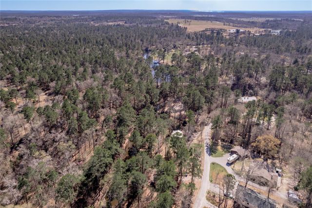 48 Hickory Bend, Riverside, TX 77320