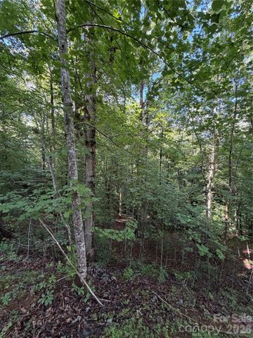 0 Greenhill Farms Drive 15, Rutherfordton, NC 28139