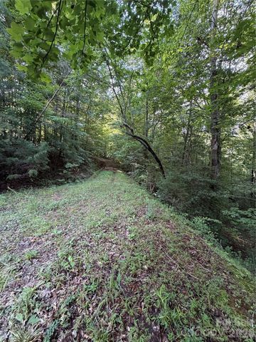0 Greenhill Farms Drive 15, Rutherfordton, NC 28139