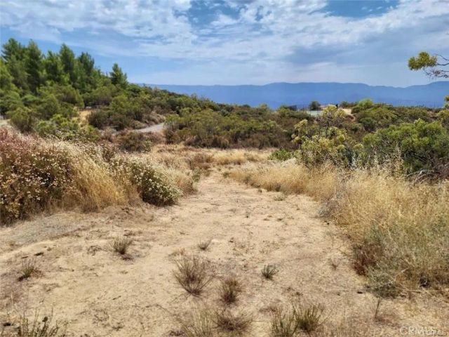 1007 Roan, Aguanga, CA 92536