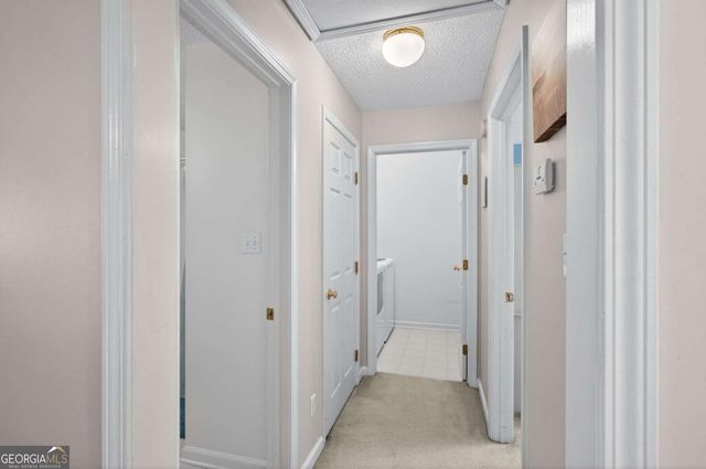 310 Tibet Avenue 8, Savannah, GA 31406