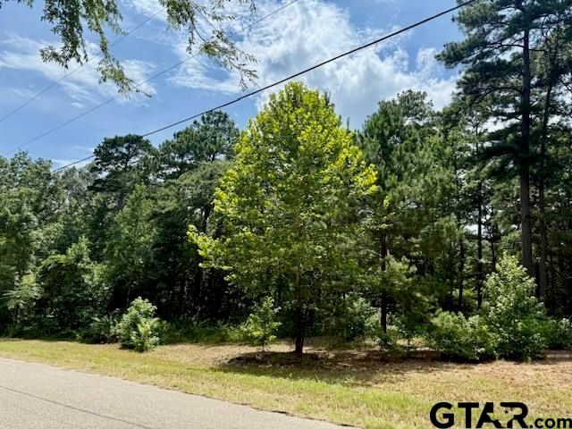 16203 County Road 436, Lindale, TX 75771