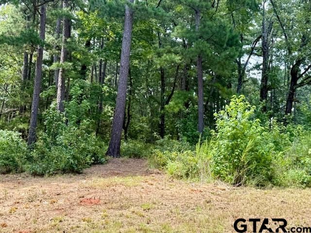 16203 County Road 436, Lindale, TX 75771