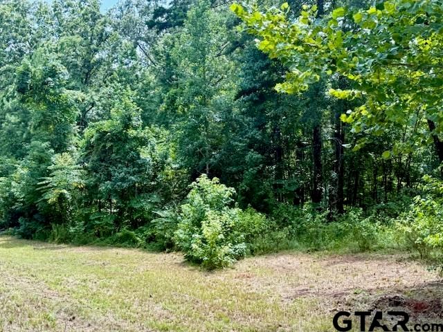 16203 County Road 436, Lindale, TX 75771