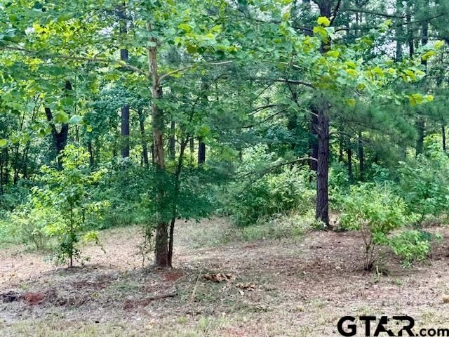 16203 County Road 436, Lindale, TX 75771