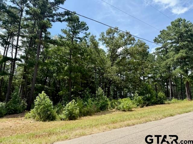 16203 County Road 436, Lindale, TX 75771