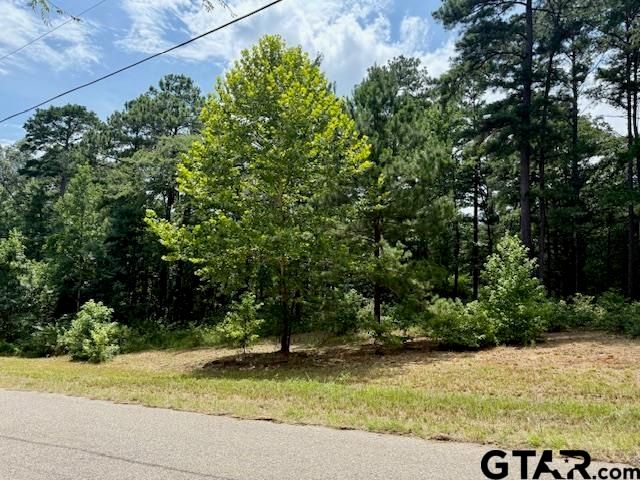 16203 County Road 436, Lindale, TX 75771