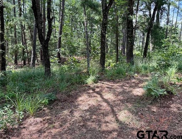 16203 County Road 436, Lindale, TX 75771