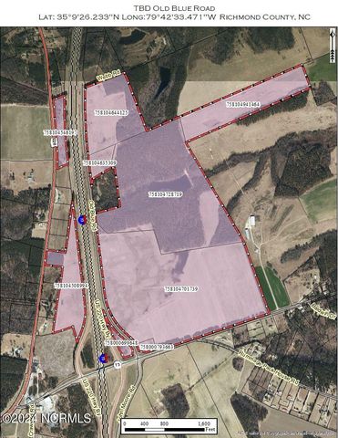 Tbd Old Blue Road, Ellerbe, NC 28338
