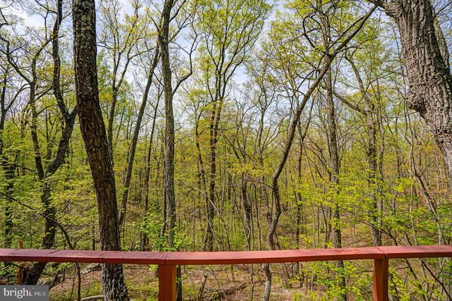 180 FRYE PATH, Gore, VA 22637