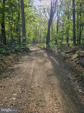 180 FRYE PATH, Gore, VA 22637