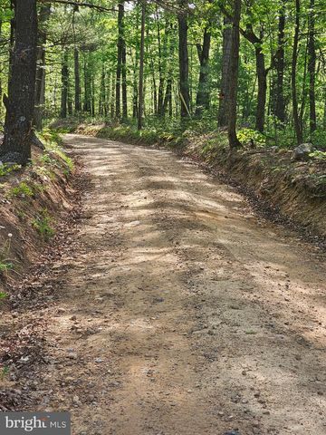 180 FRYE PATH, Gore, VA 22637