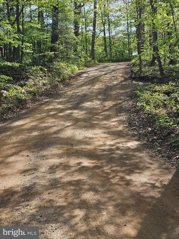 180 FRYE PATH, Gore, VA 22637