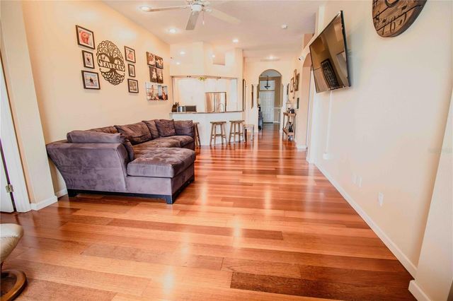 509 CYPRESS VIEW DRIVE, Oldsmar, FL 34677