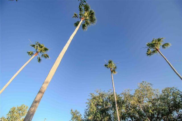 509 CYPRESS VIEW DRIVE, Oldsmar, FL 34677