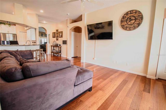 509 CYPRESS VIEW DRIVE, Oldsmar, FL 34677